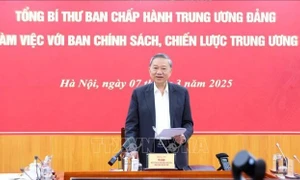 Tổng Bí thư Tô Lâm chủ trì buổi làm việc với Ban Chính sách, chiến lược Trung ương về phát triển khu vực kinh tế tư nhân ở Việt Nam