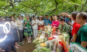 Thái Nguyên tiên phong triển khai gian hàng sản phẩm trên sàn thương mại điện tử