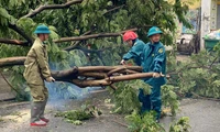 TP. Hồ Chí Minh cử lực lượng hỗ trợ Hà Nội, Hải Phòng khắc phục hậu quả bão số 3