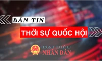 Bản tin Thời sự Quốc hội ngày 17.10.2024