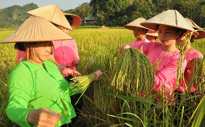 Người dân Lục Yên hăng say lao động. Ảnh: Minh Uyên Người dân Lục Yên hăng say lao động. Ảnh: Minh Uyên