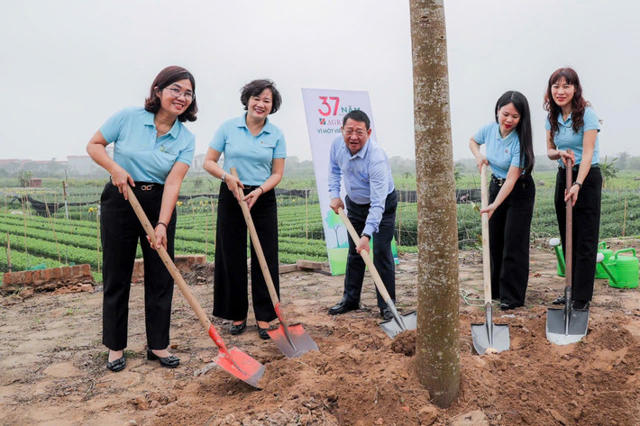 Lãnh đạo UBND huyện Mê Linh và Agribank tham gia trồng cây anh-3-11.jpg