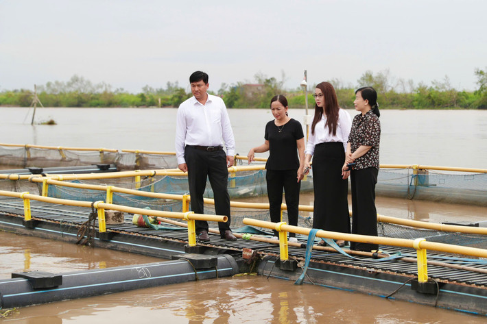 Tổng giám đốc Agribank Phạm Toàn Vượng thăm hỏi hộ vay bị ảnh hưởng bởi Bão số 3 (Yagi) tgd-tham-hoi-khach-hang-tai-hai-phong.jpg