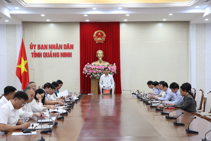 UBND tỉnh Quảng Ninh cho ý kiến về kết quả giải quyết kiến nghị của cử tri gửi đến kỳ họp thường lệ giữa năm 2024 và các kỳ họp trước đó của HĐND tỉnh. Ảnh: Minh Đức UBND tỉnh Quảng Ninh cho ý kiến về kết quả giải quyết kiến nghị của cử tri gửi đến kỳ họp thường lệ giữa năm 2024 và các kỳ họp trước đó của HĐND tỉnh. Ảnh: Minh Đức