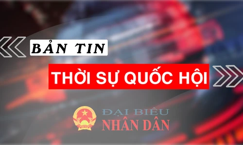 Bản tin Thời sự Quốc hội ngày 11.9.2024