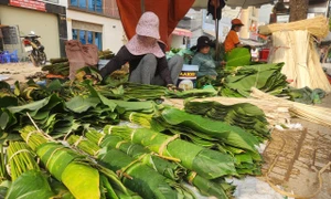 Nhộn nhịp chợ lá dong hơn nửa thế kỷ tại TP. Hồ Chí Minh