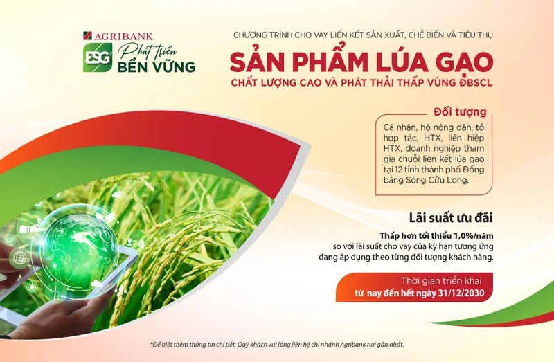 Agribank triển khai cho vay liên kết sản xuất lúa gạo chất lượng cao vùng đồng bằng sông Cửu Long