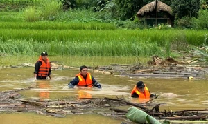 Lũ quét Làng Nủ: 600 người tham gia tìm kiếm cứu nạn