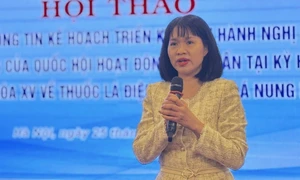 Toàn cảnh Hội thảo. Ảnh: ITN