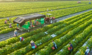 Huyện Xuân Lộc xây dựng NTM kiểu mẫu và hướng tới mô hình nông nghiệp xanh, nông thôn thông minh