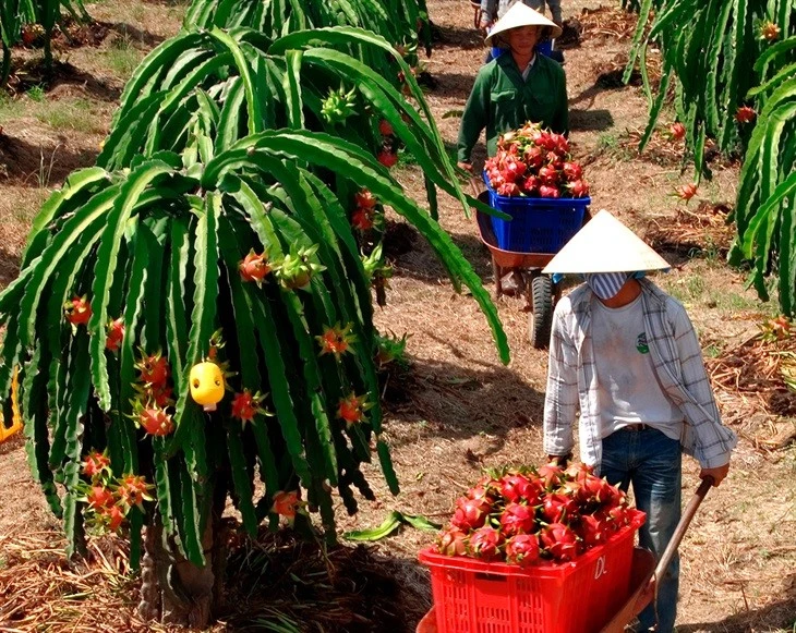 Hoàn thiện cơ chế, chính sách thu hút đầu tư