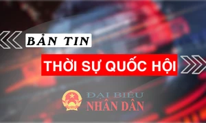 Bản tin Thời sự Quốc hội ngày 20.9.2024