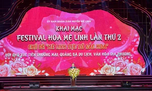 Festival - “Mê Linh rực rỡ sắc hoa’’