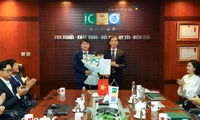 Sau thay Tổng Giám đốc, CEO Group của Chủ tịch Đoàn Văn Bình báo lợi nhuận “xuống đáy” 11 quý gần đây