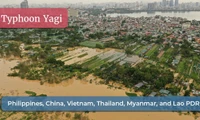 ASEAN vượt qua "cơn bão kinh tế"?