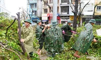 Quảng Ninh đồng lòng vượt qua bão lũ