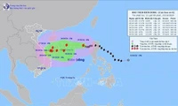 Chủ động ứng phó bão số 6 gây mưa lớn ở Trung Bộ và gió mạnh, sóng lớn trên biển