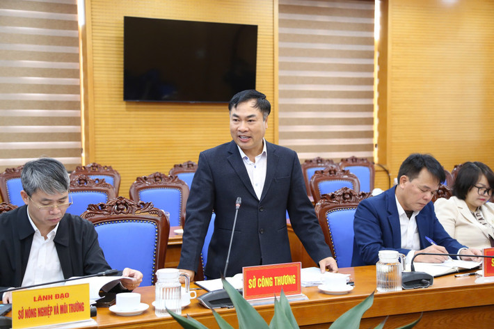 Đại diện Sở Công thương góp ý tại Hội nghị. Ảnh: Ngô Hường 180320250654-dai-dien-so.jpg