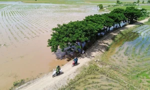 Công an Đồng Tháp tổ chức huấn luyện cán bộ chiến sĩ Cảnh sát cơ động. 