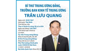 Quá trình công tác của Bí thư Trung ương Đảng, Trưởng Ban Kinh tế Trung ương Trần Lưu Quang