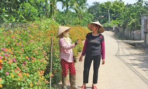 Xã Minh Quang - xã NTM nâng cao đầu tiên trong vùng đồng bào DTTS và miền núi của thành phố Hà Nội mang diện mạo tươi mới, yên bình và đáng sống 