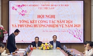 Hội nghị Tổng kết công tác năm 2024 và phương hướng nhiệm vụ năm 2025 do Cục Việc làm, Bộ Lao động, Thương binh và Xã hội tổ chức. Ảnh: BN