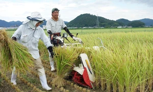 sustainable.japantimes.com