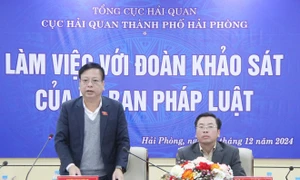 Quang cảnh cuộc làm việc