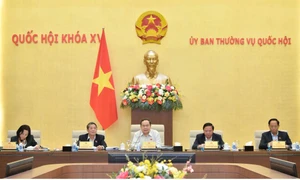 toàn cảnh phiên họp