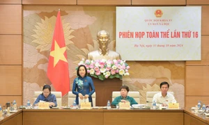 Phó Chủ tịch Quốc hội Nguyễn Thị Thanh dự phiên họp toàn thể lần thứ 16 của Ủy ban Xã hội