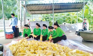 Đưa tri thức địa phương, cố kết cộng đồng vào phát triển chuỗi giá trị