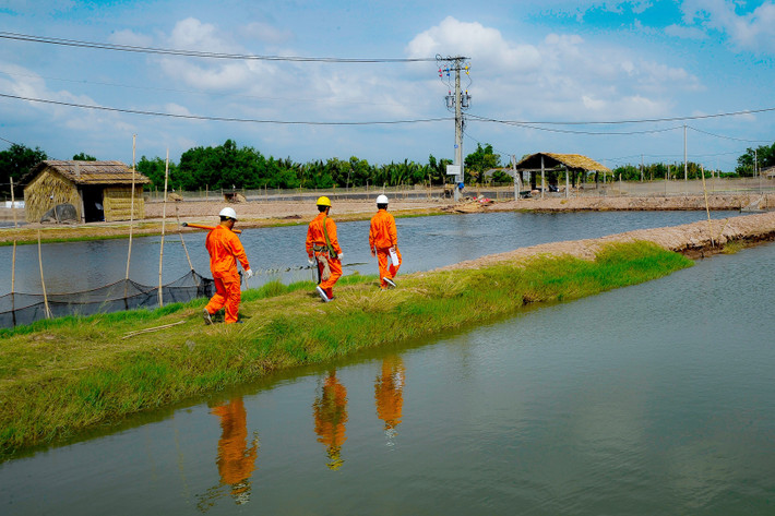 EVNSPC sẽ nhìn lại chính mình qua các tác phẩm dự thi, từ đó phát huy thế mạnh, khắc phục hạn chế, tiếp tục phát triển bền vững 14.jpg