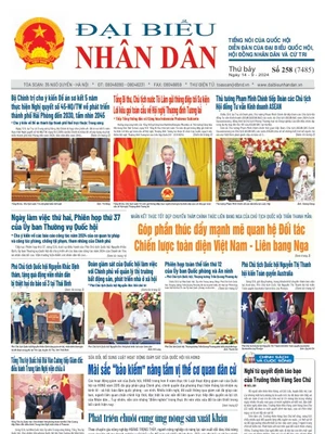 Số 258 ngày 14/09/2024