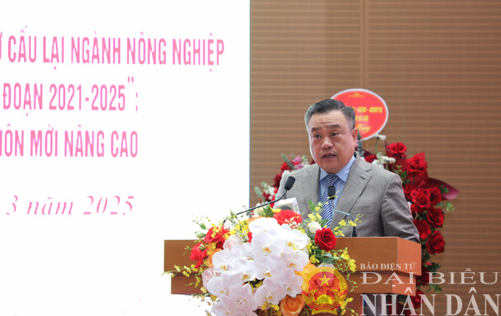 Chủ tịch UBND thành phố Trần Sỹ Thanh phát biểu chỉ đạo tại hội nghị dbnd_br_chu-tich-ubnd-thanh-pho.jpg
