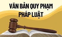 Tiếp tục thu gọn hình thức văn bản quy phạm pháp luật 