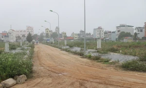 Quảng Ninh: Công ty TNHH Hải Dương Xanh thường xuyên “trúng thầu sát giá”, đa số các gói thầu nằm trên địa bàn huyện Vân Đồn