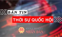 Bản tin Thời sự Quốc hội ngày 15.10.2024