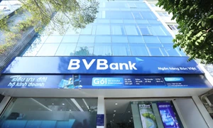 BVBank năm 2024: Lợi nhuận tăng đột biến nhưng còn đó khối nợ xấu hơn 2.100 tỷ đồng, tỷ lệ nợ xấu vẫn vượt ‘ngưỡng trần’ 