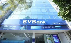 Nợ xấu vượt "ngưỡng trần", vốn của BVBank đang chảy mạnh vào đâu?