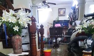 Khu dân cư giữa trung tâm Thủ đô tái diễn cảnh "cứ mưa là ngập" vì dự án cống hóa đội vốn trăm tỷ “đắp chiếu” nhiều năm