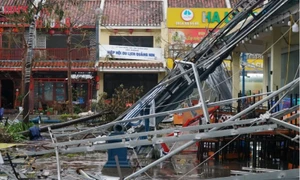 Alacarte Hạ Long: Chủ động khắc phục hậu quả bão Yagi