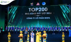 Bigfa được vinh danh Top 200 doanh nghiệp Sao Vàng Đất Việt 2024