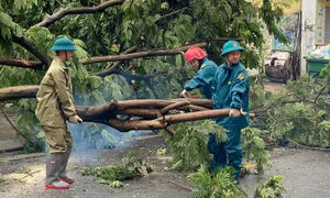 TP. Hồ Chí Minh cử lực lượng hỗ trợ Hà Nội, Hải Phòng khắc phục hậu quả bão số 3