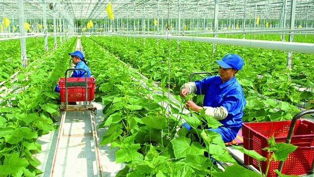 Ảnh minh họa/ITN hc-16498403533361243917854-1655204046-1741825047.jpg