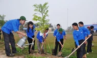 Hải Dương: Phát động “Tết trồng cây đời đời nhớ ơn Bác Hồ” mùa Xuân Ất Tỵ