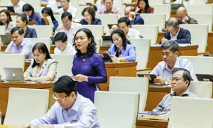 Phó trưởng Đoàn chuyên trách Đoàn ĐBQH tỉnh Bà Rịa - Vũng Tàu Huỳnh Thị Phúc phát biểu tại phiên thảo luận. Ảnh: CHÂU VŨ