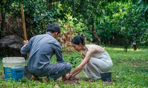 Du khách trải nghiệm trồng cây xanh tại Khu nghỉ dưỡng Six Senses Ninh Vân Bay. Ảnh: XUÂN THÀNH