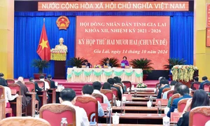 Quang cảnh kỳ họp. Ảnh: ĐT