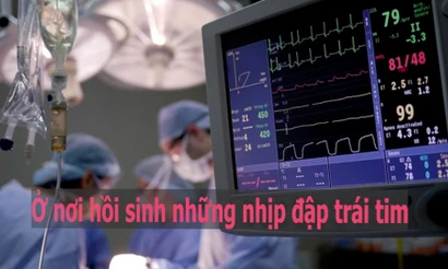 Nơi hồi sinh những nhịp đập trái tim