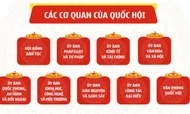 Cơ cấu tổ chức và nhân sự các cơ quan của Quốc hội Khóa XV